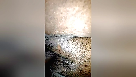 Indian hairy pussy fuck video 1981 1981 amateur porn