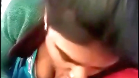Indian truck driver sex video with me getting banged